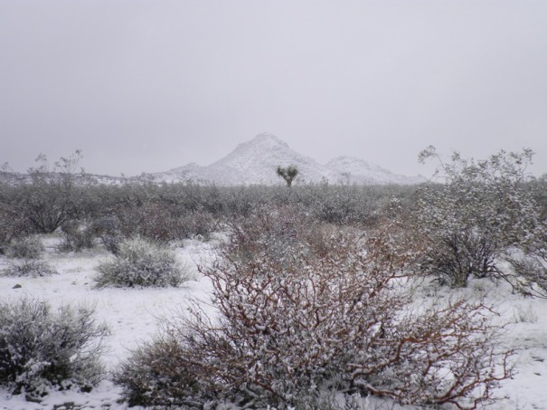 Desert Snow